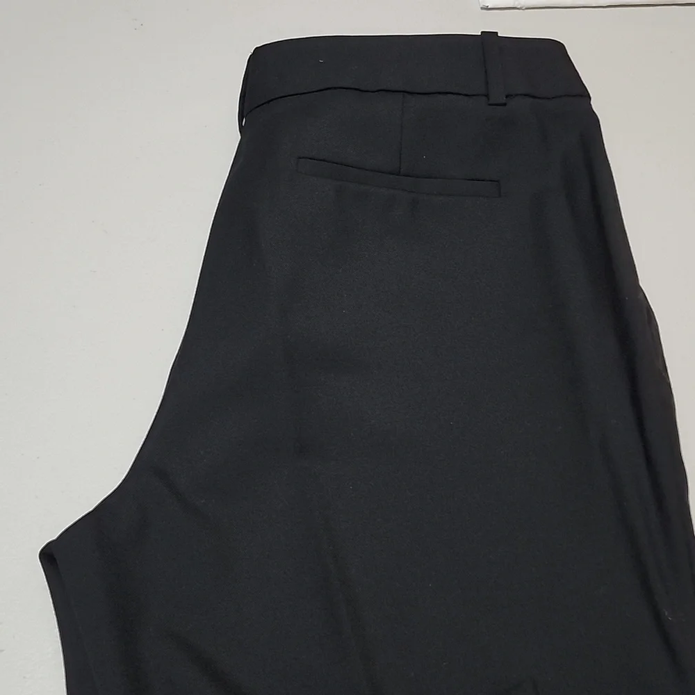 EUC JCREW Women's pants Sz10 - Picture 5 of 5